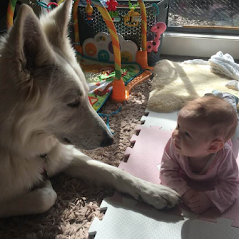 dog and little baby